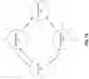 Fig. 12 - Algorithms for use of load information from neighboring nodes in adaptive routing