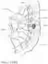 Fig. 197 - METHOD OF HUB COMMUNICATION WITH SURGICAL INSTRUMENT SYSTEMS