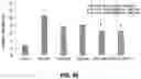 Fig. 167 - METHODS OF TREATING FIBROSIS USING COMPOUNDS THAT PROMOTE GLUCOSE OXIDATION