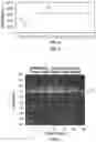 Fig. 04 - Launch monitor