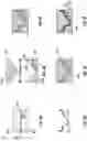 Fig. 05 - Articles Including Panels and Molded Structures and Methods of Making Same