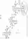Fig. 08 - Delivery rotary-wing aircraft