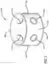 Fig. 02 - Direct mount of secondary payload adapters to truss structure common to space vehicle payload adapter