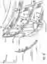 Fig. 10 - Direct mount of secondary payload adapters to truss structure common to space vehicle payload adapter