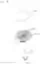 Fig. 19 - Pressurized container including flowable product and non-soluble propellant