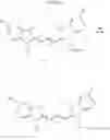 Fig. 21 - MODIFIED CYANINE DYES AND CONJUGATES THEREOF