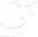 Fig. 26 - MODIFIED CYANINE DYES AND CONJUGATES THEREOF
