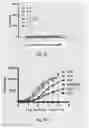 Fig. 05 - CD3 antibody and pharmaceutical use thereof