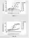 Fig. 06 - CD3 antibody and pharmaceutical use thereof