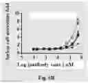 Fig. 10 - CD3 antibody and pharmaceutical use thereof