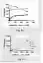 Fig. 13 - CD3 antibody and pharmaceutical use thereof