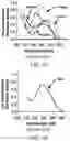 Fig. 02 - DETERMINING THE DNA PRESENT IN A CELL BY IMAGING AND MATCHED FILTERING