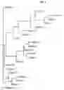 Fig. 06 - ASSESSING RISK OF READING AND LANGUAGE IMPAIRMENT