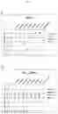 Fig. 07 - ASSESSING RISK OF READING AND LANGUAGE IMPAIRMENT