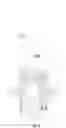 Fig. 02 - Continuously variable transmission