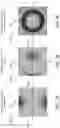 Fig. 06 - Correcting aberration and apodization of an optical system using correction plates