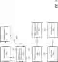 Fig. 08 - Content recording and group encryption