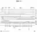 Fig. 09 - Light emitting display device with transistor in transparent display area
