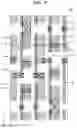 Fig. 10 - Integrated circuit device