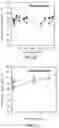 Fig. 10 - SOLAR MODULE WITH METAL FOIL INTERCONNECTION OF BACK-CONTACTED PHOTOVOLTAIC CELLS