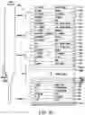 Fig. 18 - Multijunction solar cells
