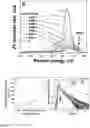 Fig. 05 - Semiconductor template and fabrication method