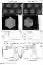 Fig. 07 - Semiconductor template and fabrication method