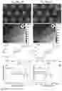 Fig. 08 - Semiconductor template and fabrication method