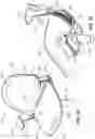 Fig. 19 - Chair