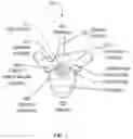 Fig. 02 - Methods and devices for augmenting the spine