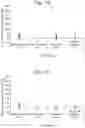 Fig. 02 - Indoleamine 2,3-dioxygenase based immunotherapy