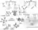 Fig. 01 - POLYMERIC DRUG DELIVERY CONJUGATES AND METHODS OF MAKING AND USING THEREOF