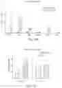 Fig. 40 - AAV DELIVERY OF NUCLEOBASE EDITORS
