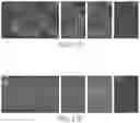 Fig. 45 - AAV DELIVERY OF NUCLEOBASE EDITORS