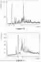Fig. 09 - Solid forms of an HIV capsid inhibitor