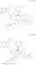 Fig. 29 - Solid forms of an HIV capsid inhibitor