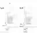 Fig. 15 - Determining Antigen-Specific T-Cells