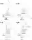 Fig. 16 - Determining Antigen-Specific T-Cells