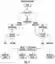 Fig. 05 - ENCAPSULATED PRE-ANALYTIC WORKFLOWS FOR FLOW-THROUGH DEVICES, LIQUID CHROMATOGRAPHY AND MASS SPECTROMETRIC ANALYSIS