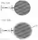 Fig. 12 - ENCAPSULATED PRE-ANALYTIC WORKFLOWS FOR FLOW-THROUGH DEVICES, LIQUID CHROMATOGRAPHY AND MASS SPECTROMETRIC ANALYSIS