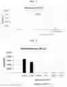Fig. 02 - SCREENING METHOD AND TOXICITY EVALUATION METHOD