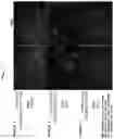 Fig. 03 - SCREENING METHOD AND TOXICITY EVALUATION METHOD