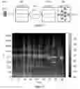 Fig. 04 - NEURAL NETWORK AND METHOD FOR MACHINE LEARNING ASSISTED SPEECH RECOGNITION