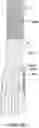 Fig. 11 - ELASTOMERIC GLOVE AND METHOD OF FABRICATION