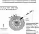 Fig. 01 - Multivalent delivery of immune modulators by liposomal spherical nucleic acids for prophylactic or therapeutic applications