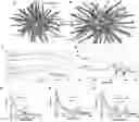 Fig. 01 - Drug delivery methods and compositions
