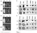 Fig. 03 - Drug delivery methods and compositions