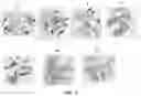 Fig. 07 - Drug delivery methods and compositions