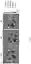 Fig. 08 - Drug delivery methods and compositions