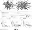 Fig. 17 - Drug delivery methods and compositions